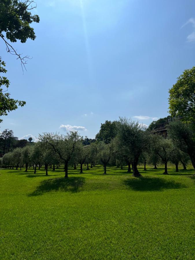 Homely Manerba Manerba del Garda Eksteriør billede